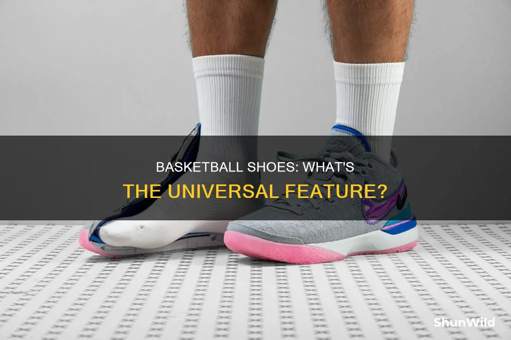 what do all basketball shoes have in common