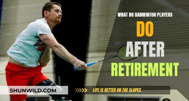 Life After Badminton: Exploring Retirement Options