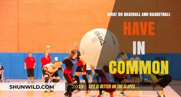 Sports Similarities: Basketball and Baseball's Common Ground