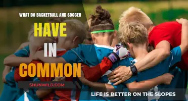 Team Sports: Basketball and Soccer's Common Ground