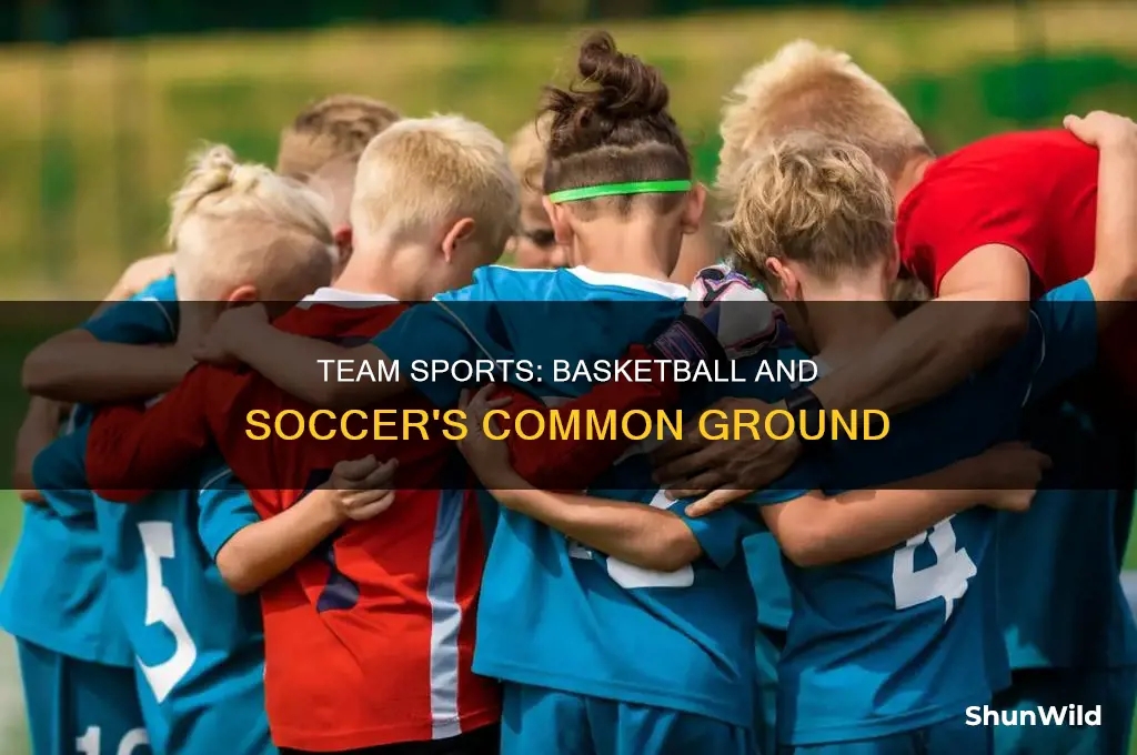 what do basketball and soccer have in common