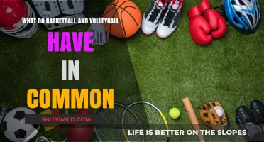Similarities Between Basketball and Volleyball