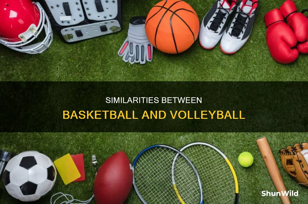 what do basketball and volleyball have in common