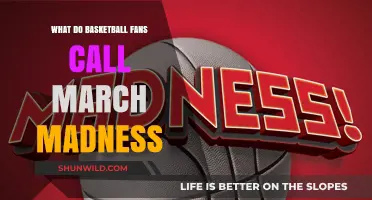 March Madness: Basketball Fans' Favorite Time of Year