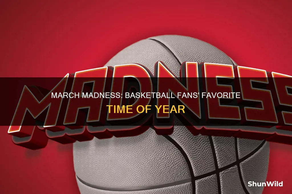 what do basketball fans call march madness