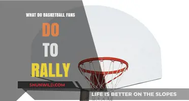 How Basketball Fans Rally for Their Teams