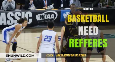 Basketball's Referees: Ensuring Fair Play and Order