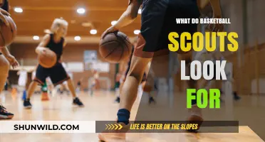 Basketball Scouts: Key Attributes for Player Evaluation