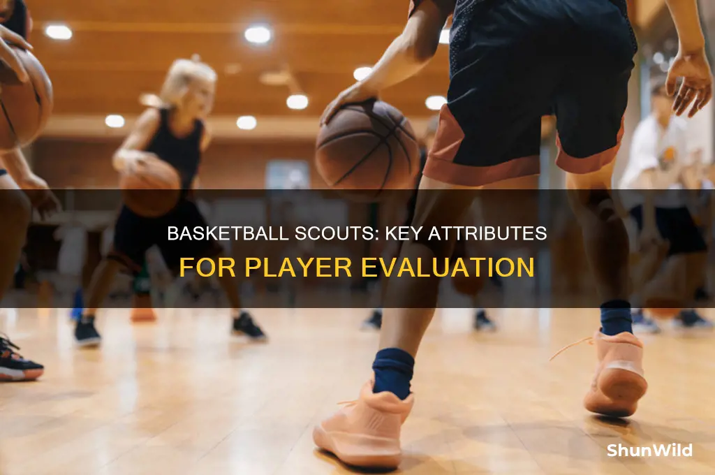 what do basketball scouts look for