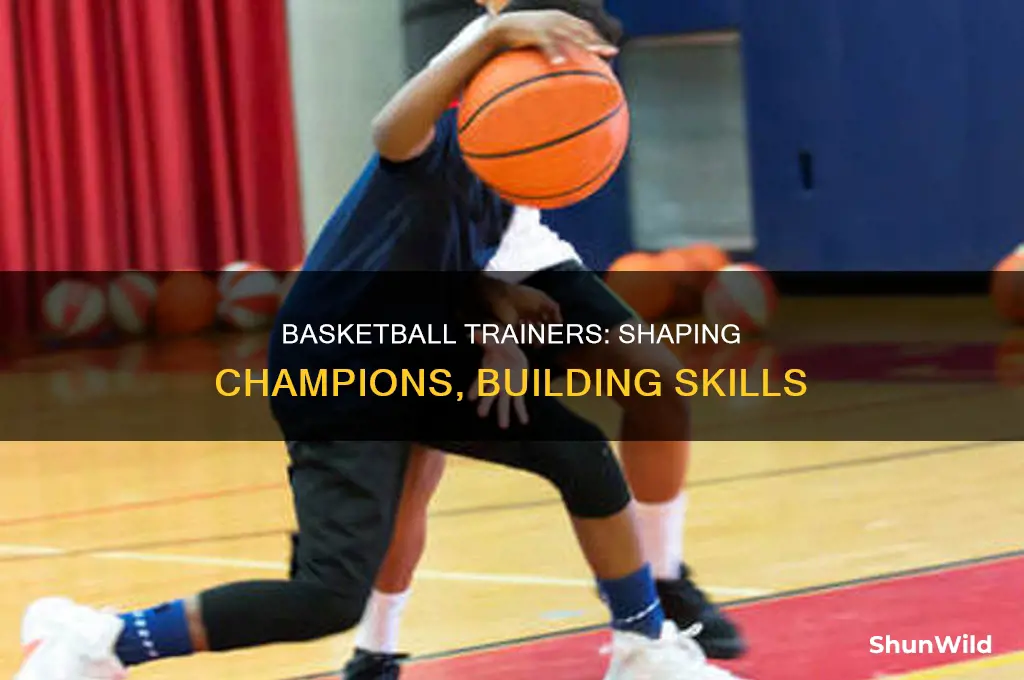 what do basketball trainers do