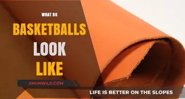 The Evolution of Basketball Design: What Do They Look Like?