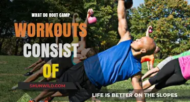 Discover the Intense Exercises and Drills in Boot Camp Workouts