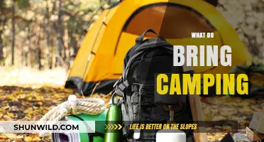 Essential Camping Gear: Your Ultimate Packing List for Outdoor Adventures