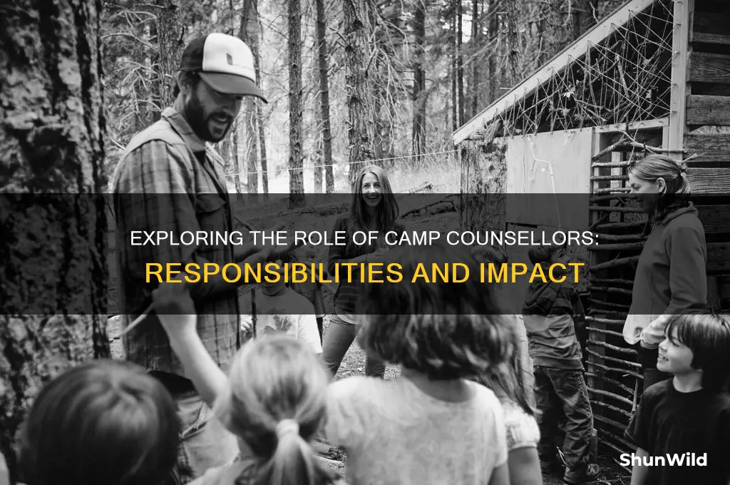 what do camp counsellors do