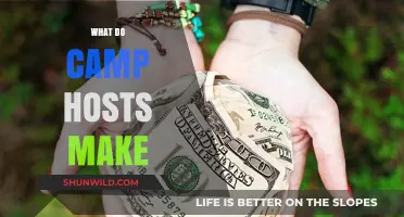 Camp Host Earnings: Unveiling the Income of Outdoor Hospitality Jobs