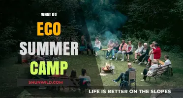 Eco Summer Camp: Sustainable Fun and Learning for Kids