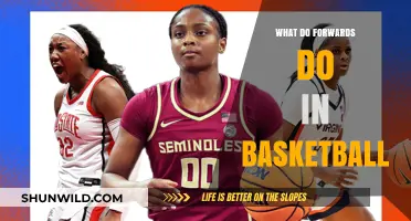 Forwards: Basketball's Dynamic Offensive and Defensive Duo