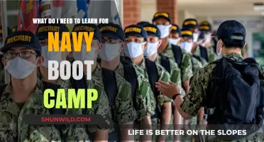 Essential Skills and Knowledge for Navy Boot Camp Success