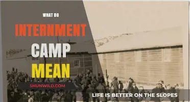 Understanding Internment Camps: History, Impact, and Lasting Legacy Explained