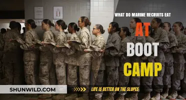 Marine Boot Camp Chow: Fueling Recruits Through Rigorous Training