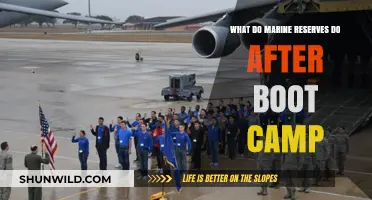 Life After Boot Camp: Marine Reserves' Roles and Responsibilities