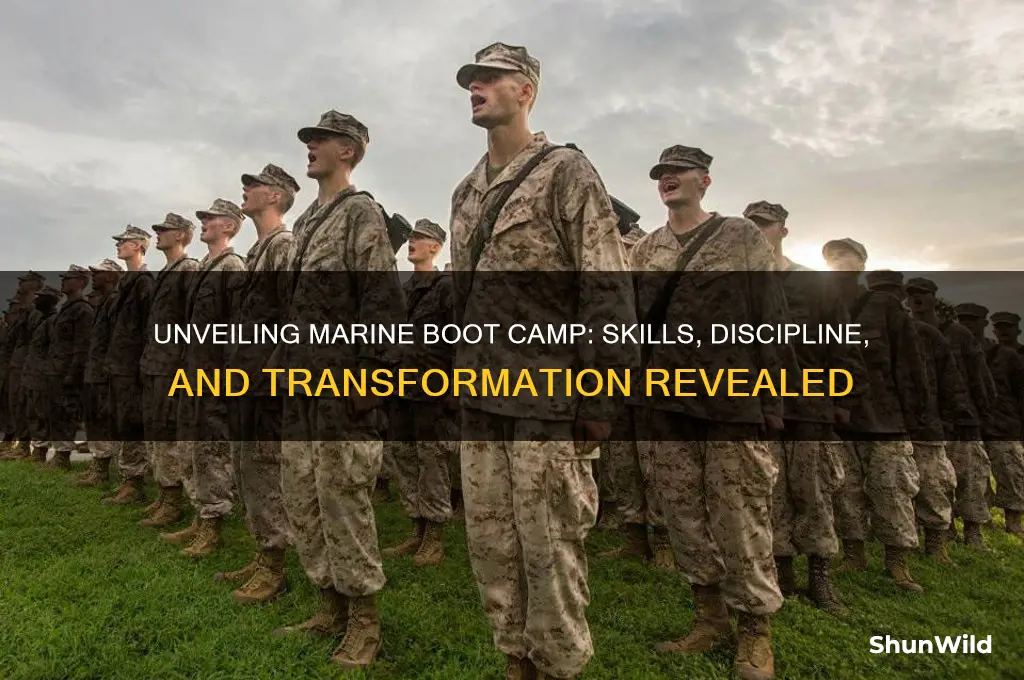 what do marines actually learn in boot camp