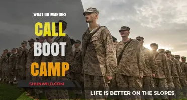 What Marines Call Boot Camp: Unveiling the Recruit Training Experience