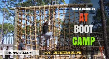 Marine Boot Camp: Training, Challenges, and Transformation Explained