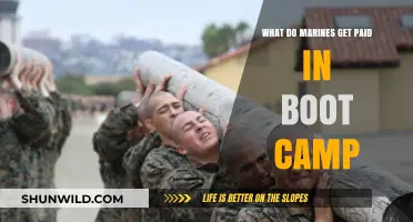 Marine Boot Camp Pay: Understanding Recruit Compensation During Training