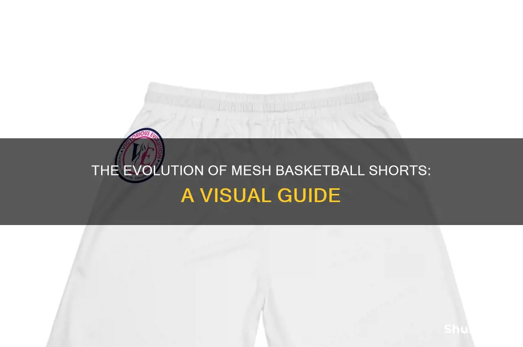 what do mesh basketball shorts look like