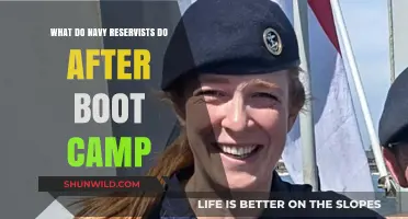 Life After Navy Boot Camp: Roles and Responsibilities of Reservists
