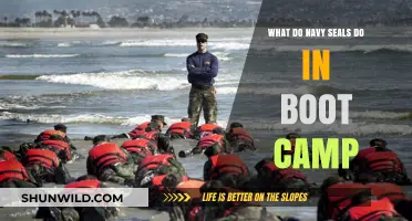 Navy SEALs Boot Camp: Rigorous Training and Challenges Explained