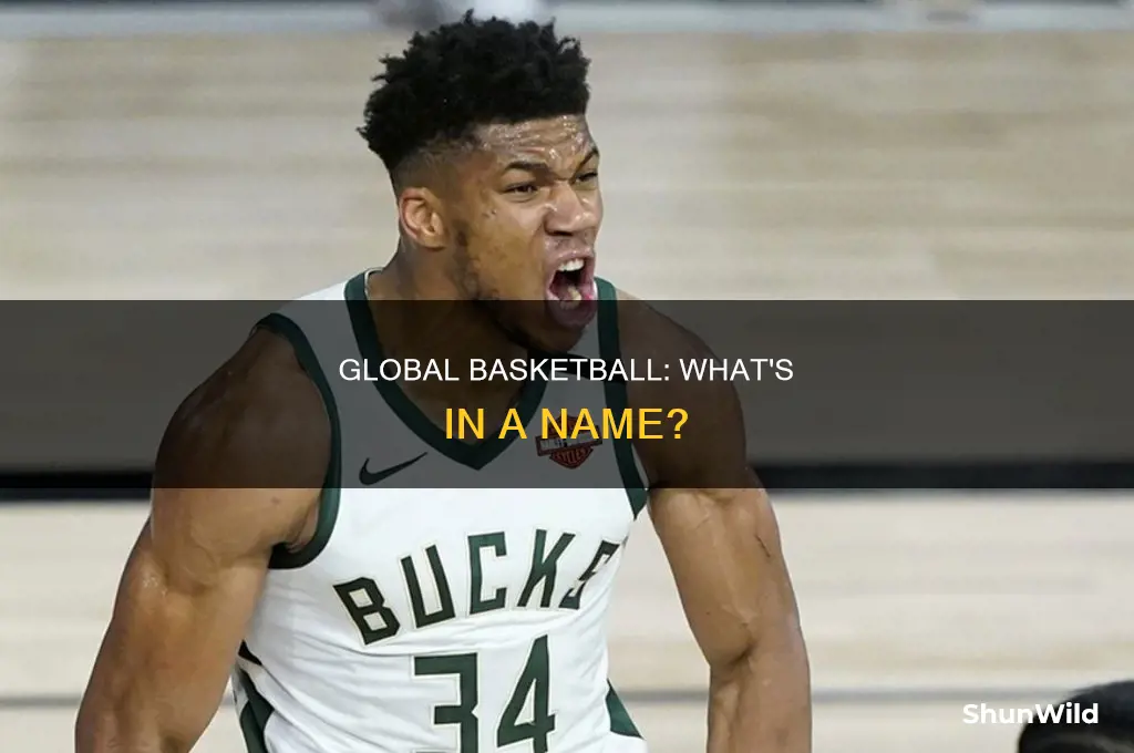 what do other countries call basketball