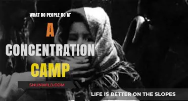 Life in Concentration Camps: Daily Activities and Forced Labor Explained