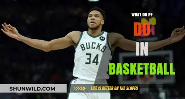 Power Forwards: Basketball's Dynamic Playmakers