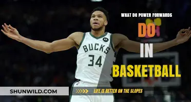 Power Forwards: Basketball's Dynamic Playmakers