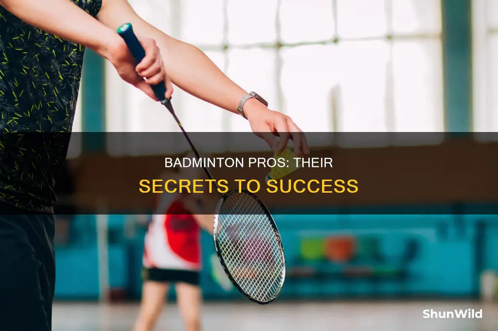 what do professional badminton players do