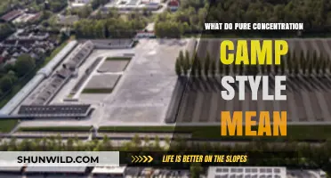 Understanding the Term 'Pure Concentration Camp Style' and Its Implications