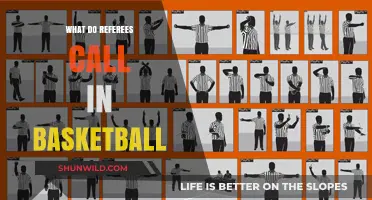 Basketball Referees: Calls and Their Impact