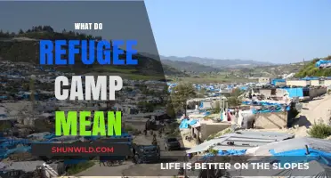 Understanding Refugee Camps: Purpose, Challenges, and Global Impact Explained