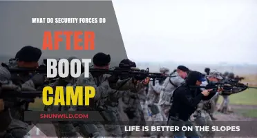 Post-Boot Camp: Security Forces' Roles, Responsibilities, and Mission-Ready Training