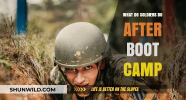 Life After Boot Camp: Soldiers' Roles, Training, and Career Paths