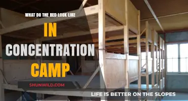 The Haunting Reality: Concentration Camp Beds Exposed