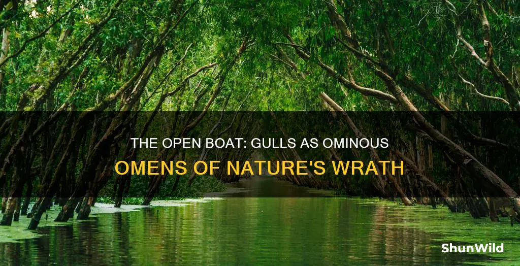 what do the gulls represent in the open boat