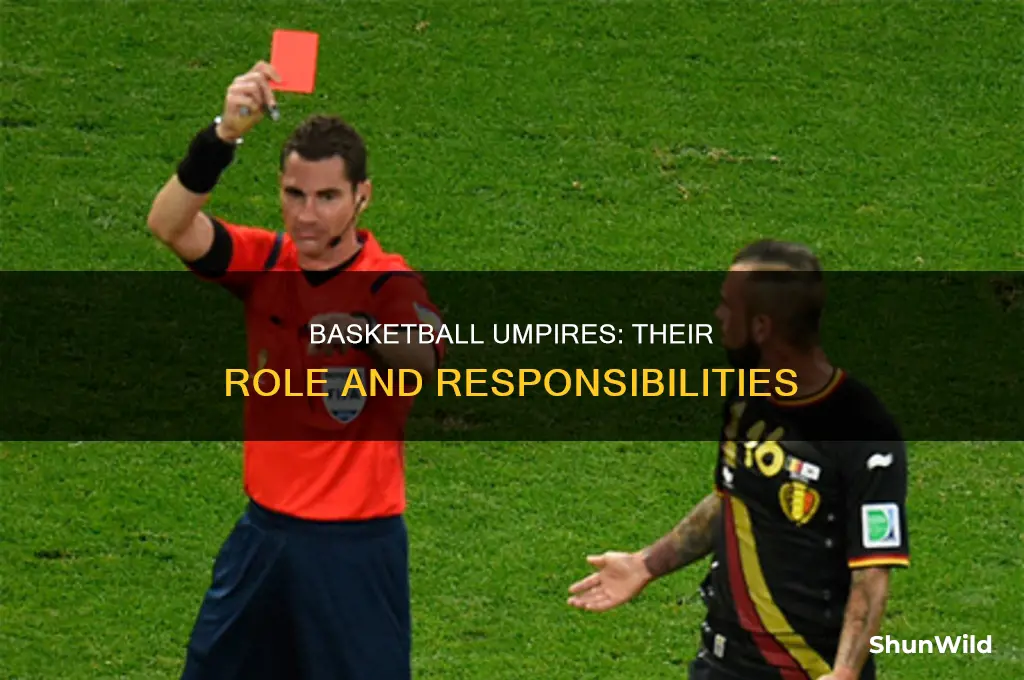 what do the umpires do in basketball
