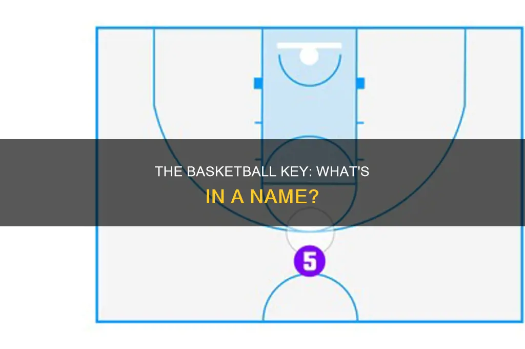 what do they call in front of basketball net