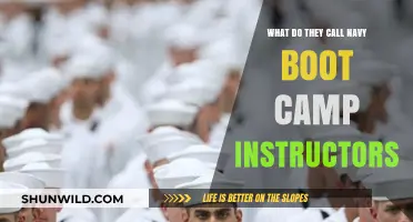 What Are Navy Boot Camp Instructors Called? Unveiling the Title