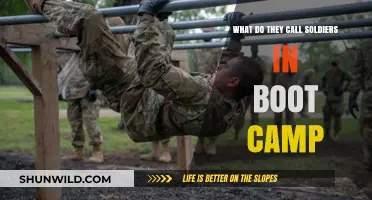 What Do They Call Soldiers in Boot Camp? Unveiling Military Terminology