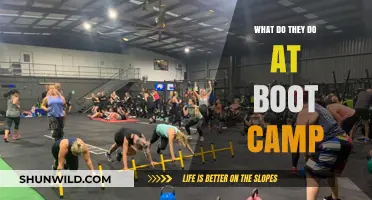 Unveiling Boot Camp: Intense Training, Discipline, and Transformation Explained