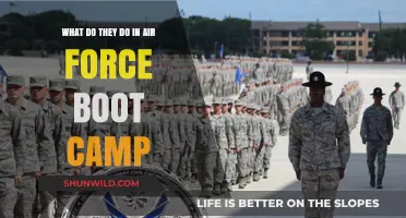 Air Force Boot Camp: Unveiling the Rigorous Training and Daily Life